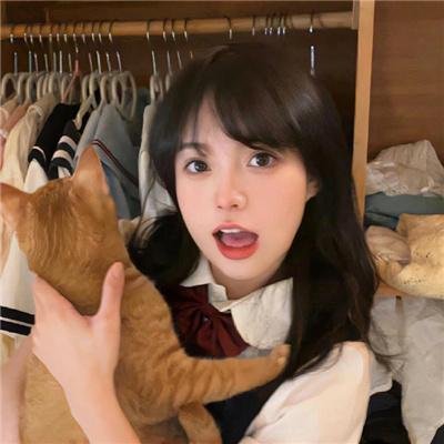 寻狗启事